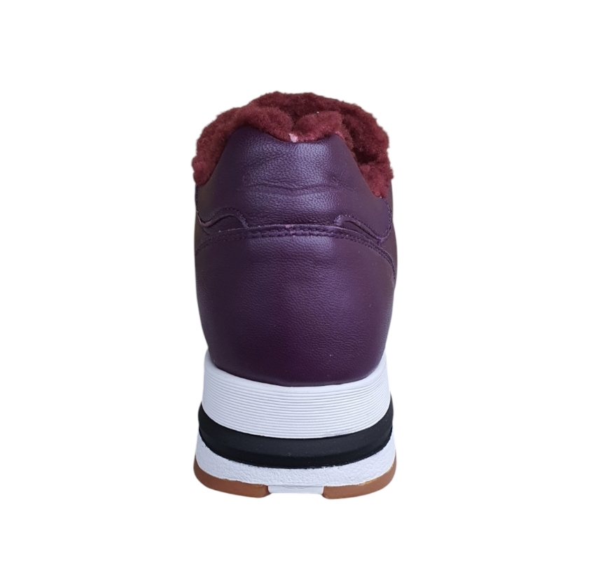 0012017033.01.0I03 lLight liliac